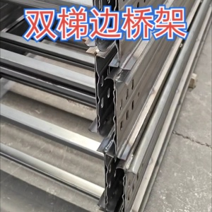 钢制梯式双梯边桥架